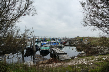 ecosoffi