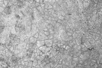 Fototapeta premium Cracked concrete texture closeup for background.