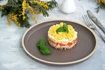 Traditional Russian salad Mimosa with boiled pink salmon, carrots, onions and eggs on a gray concrete background. Served on ceramic plates, decorated with sliced fresh cucumber