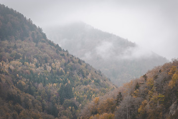 Clouds rolling through autumn mountains on dark and moody day. Vosges, France