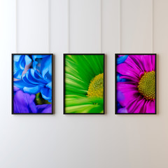 framed flowers
