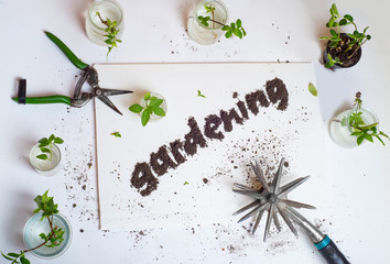 Word gardening from the ground on a white background. Sprouts, green leaves and garden tools