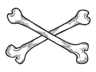 Crossed bones. Pirate symbol sketch engraving vector illustration. Scratch board style imitation. Hand drawn image.