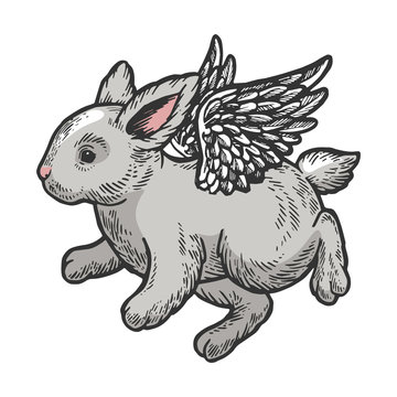 Angel flying baby little rabbit bunny color sketch engraving vector illustration. Scratch board style imitation. Black and white hand drawn image.