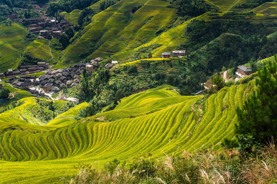 green hills during daytime