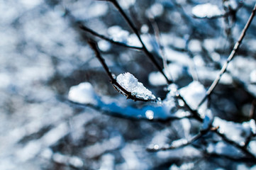 first snow in norway