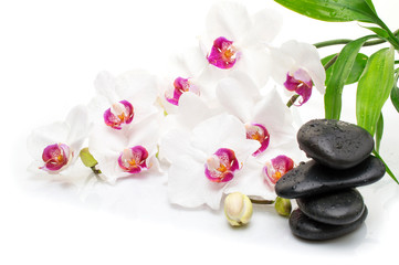 Fototapeta na wymiar spa Background - orchids black stones and bamboo on water