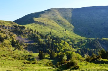 Senepi, en route vers le sommet