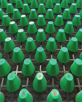 green plastic cup lot