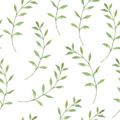 Seamles pattern with eucalyptus leaves. Green foliage and botanical watercolor pattern.