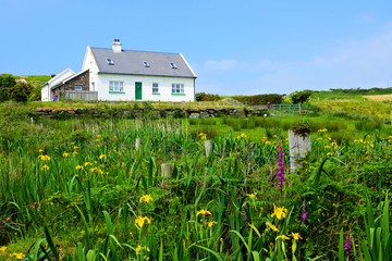 Small white house in the countryside of Ireland with lush green front yard of wild flowers