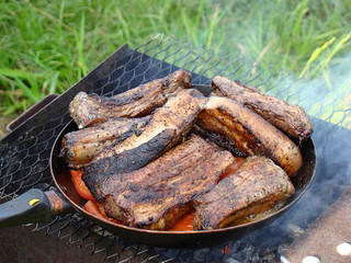 Meat cooked on a fire in nature.