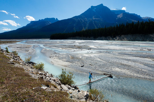 A woman walks across a log over the turquoise glacier waters and braided channels along the Icefields Parkway, Highway 93, Jasper National Park, Alberta, Canada.