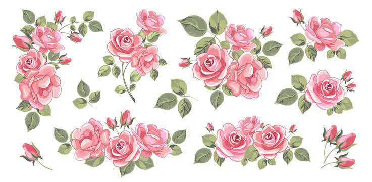 Bouquets of blooming roses. Set of isolated objects. Vector image.