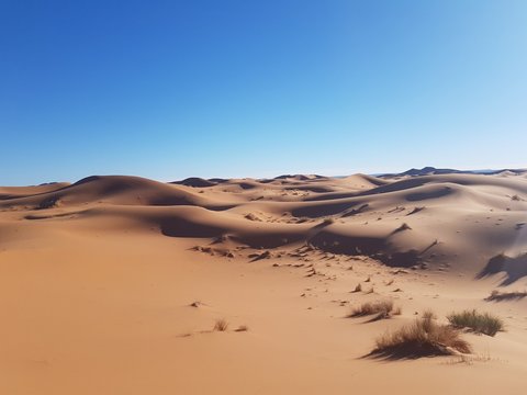 brown sand