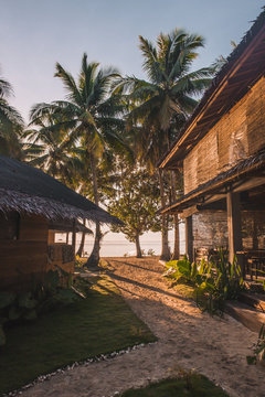 beach houses near palm trees