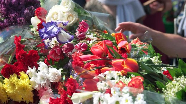 Man flowers for memorial day. In memory of second world war soldiers and victims.
