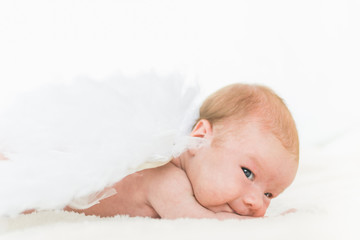 Infant baby portrait in white look at camera