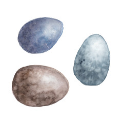 Three watercolor bird eggs with texture