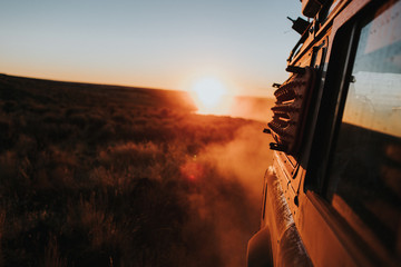 brown vehicle on green grass during daytime