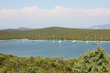 Croatia summer landscape