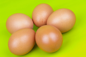 Animal eggs on green background - Easter
