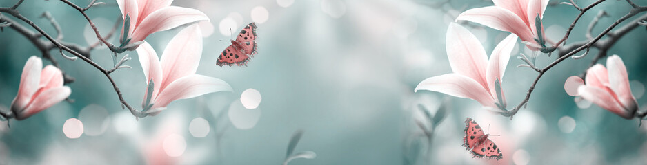 Mysterious spring background with pink magnolia flowers and flying butterfly. Magnificent floral...