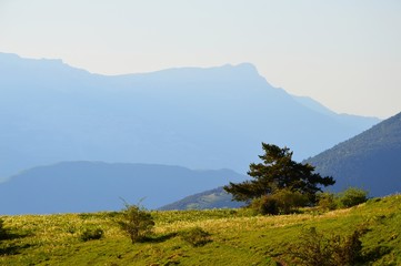 Silhouette du Vercors vue du Sénépi