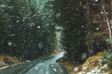 Winter road
