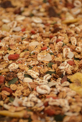 Muesli saludables para desayuno