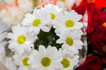 Festive bouquet of white daisies