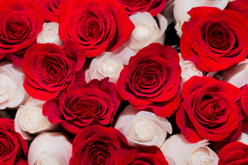 Bouquet of red and white roses, the concept of romance or wedding