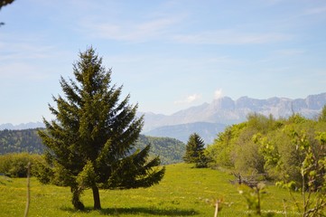 Vercors vu du Sénépi