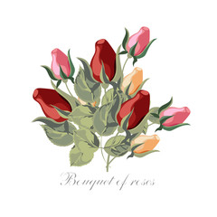 Bouquet of blooming roses. Isolated vector image.