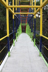 forest pedestrian bridge