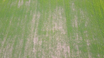 landwirtschaft - felder von oben