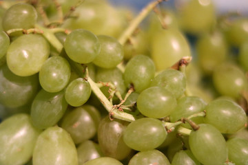 weintrauben grün