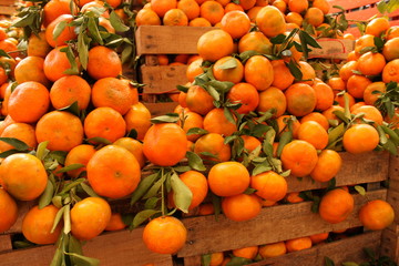 heap mandarins for sale