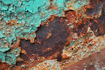 Rusty metal surface with peeling paints and seashells from long time underwater.