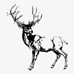 Elk silhouette vector illustration