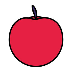 fresh apple fruit