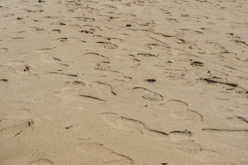many footprints in the sea sand