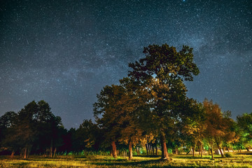 Green Trees Oak Woods In Park Under Night Starry Sky With Milky Way Galaxy. Night Landscape With Natural Real Glowing Stars Over Forest At Summer Season. View From Eastern Europe At Spring Season