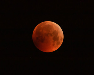 Blood Moon 