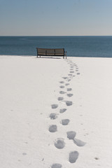 Footprints in Snow Leading to a Bench Near the Ocean Water
