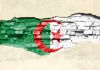 National flag of Algeria on a brick background. Brick wall with partially destroyed plaster, background or texture.