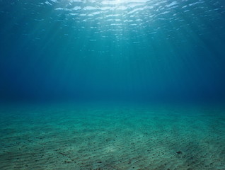 Underwater seascape sandy seabed with natural sunlight below water surface in the Mediterranean sea, France - obrazy, fototapety, plakaty