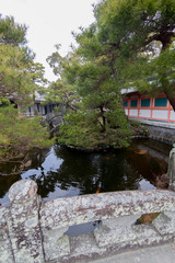 Fototapeta na wymiar 神社の池