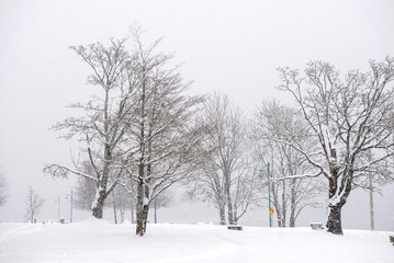 View of Transfer Beach park during a winter storm in Ladysmith, BC