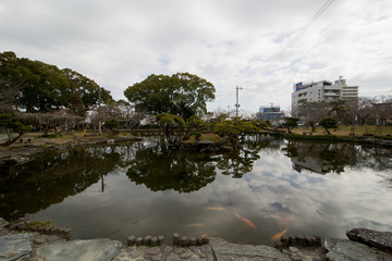 Fototapeta premium 神社の池